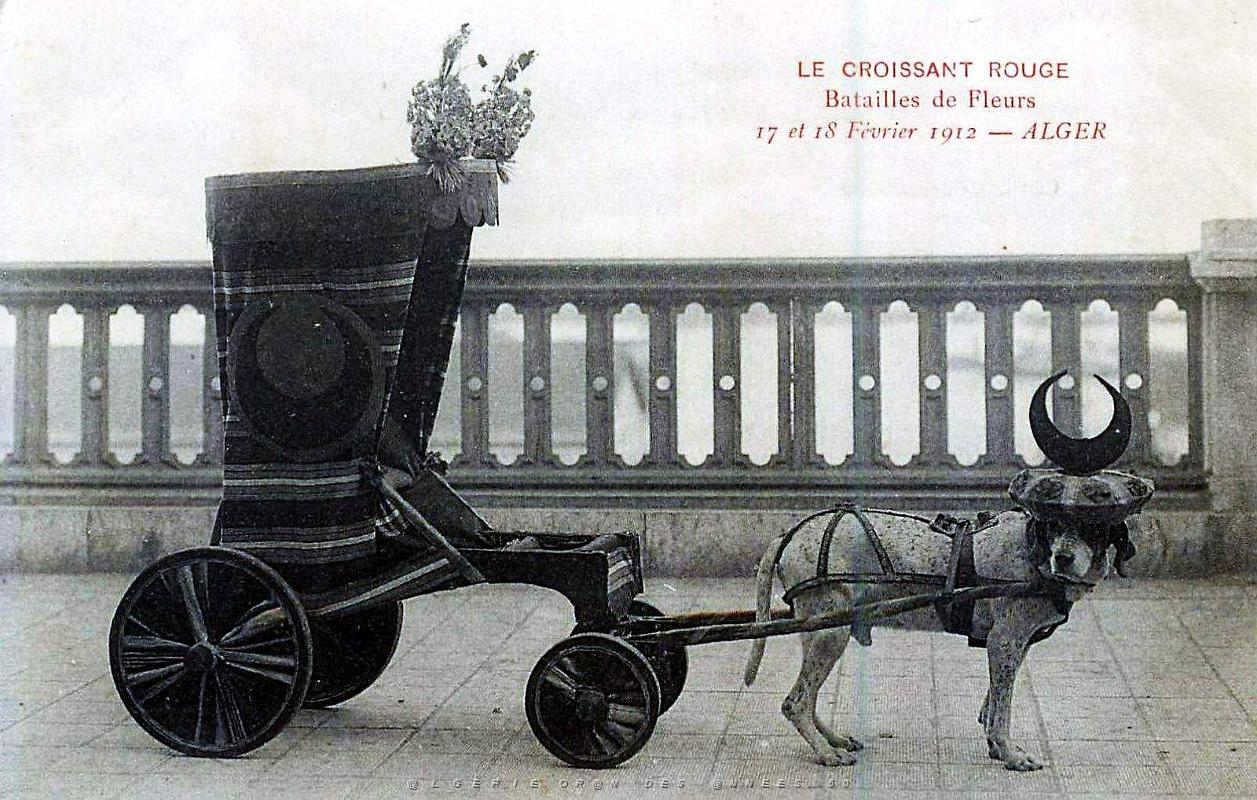 ALGER - BATAILLE DE FLEURS - CROISSANT ROUGE - FEVRIER 1912.jpg